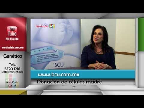 En México, ¿hay algún programa de donadores de médula ósea para obtener células madre?