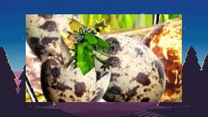 Charlie and Lola  S1E25 But I Am an Alligator