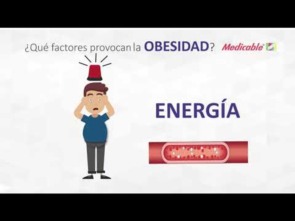 ¿QUÉ FACTORES PROVOCAN LA OBESIDAD?