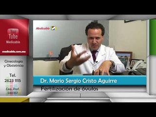 ¿Cómo se realiza la fertilización de los óvulos donados?
