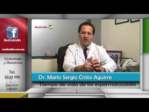 ¿Cuál es el tiempo de vida de los espermatozoides?