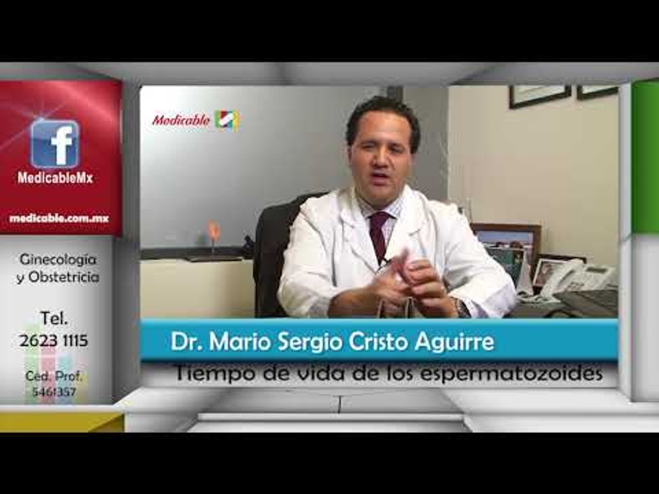 ¿Cuál es el tiempo de vida de los espermatozoides?