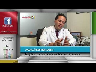 ¿En qué momento los óvulos fertilizados son aptos para implantarse en la mujer receptora?