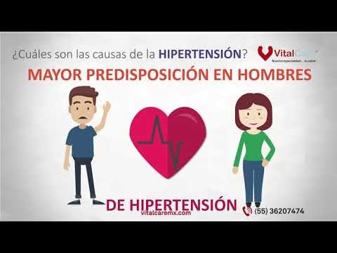¿Cuáles son las causas de la hipertensión?