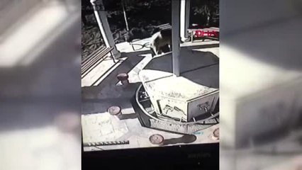 Konya Cemaat Namazdayken Şadırvanın Musluklarını Çaldı