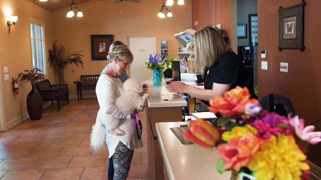 Welcome to Piedmont Veterinary Clinic