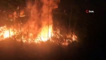 Rize'deki ormanlık alan alev alev yandı