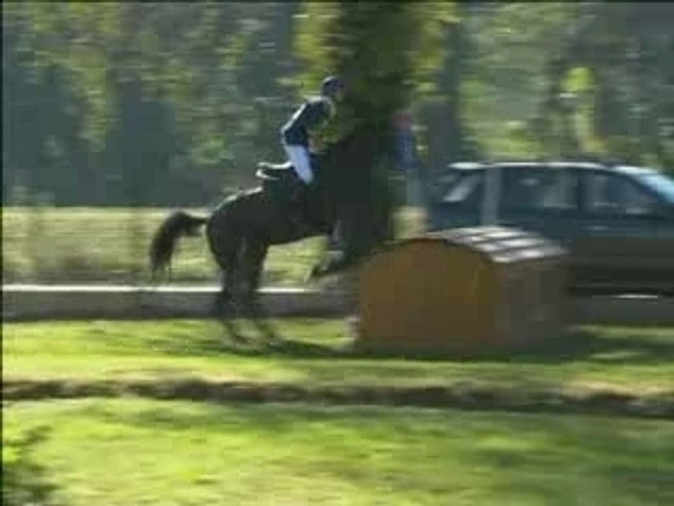 cheval cross EQUITATON DE PAU 2007
