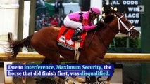 Country House Ruled Out for Preakness Stakes