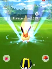 FLAREON CP 2639 IV 31