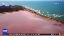 [투데이 영상] '분홍색' 바다, 구경해보실래요?