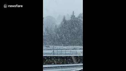 Flurries of snow cover Northumbria in wintry scenes