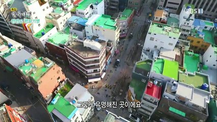 한국기행 - Korea travel_한반도 평화기행 - 삶은 어디서든 피어나고, 부산기행_#001