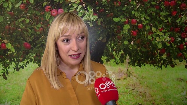 Ora News - Subvencionet e BE për bujqësinë, skemë tjetër për fermerët që nuk plotësojnë kriteret