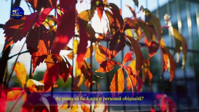 Cuvântul lui Dumnezeu „Lucrarea lui Dumnezeu, firea Sa și Dumnezeu Însuși （III）” Partea a cincea