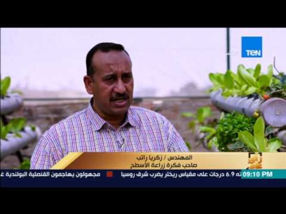 رأي عام| زراعة أسطح المنازل بدون تربة.. مبادرة تبدأ من حلوان