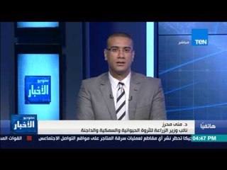 ستوديو الأخبار - وزارة الزراعة: إعادة إحياء مشروع تسمين البتلو وقروض للمربيين بفائدة 5%