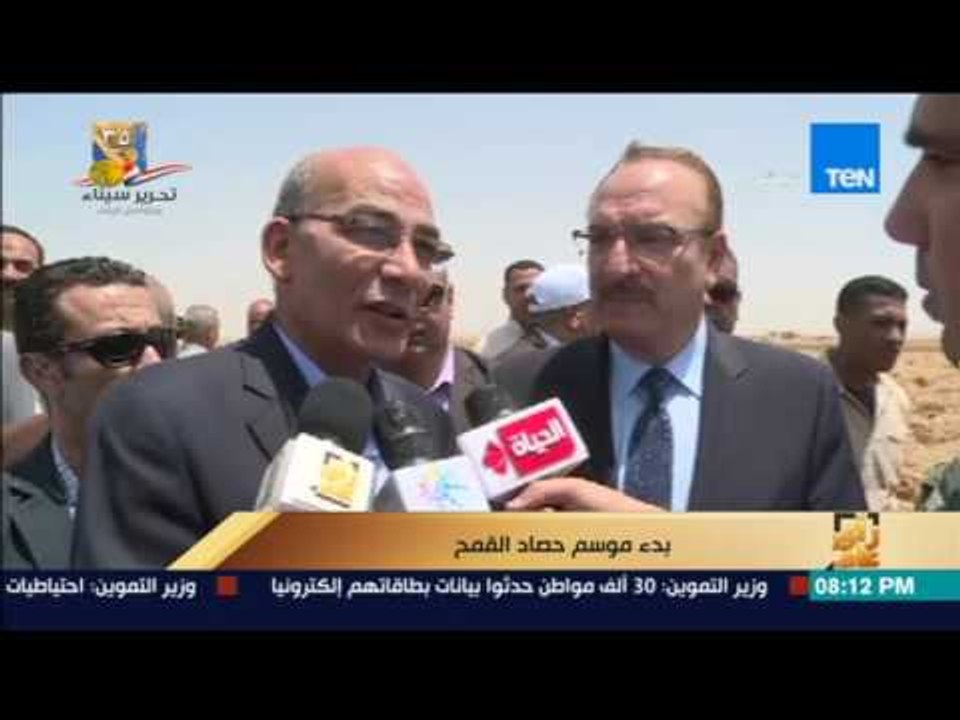 رأي عام |  4 ملايين طن قمح يتوقع وزير التموين ا...