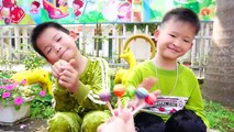 Lollipop #3 : Giúp Trẻ Mẫu Giáo Hát Và Học Mầu Bằng Tiếng Anh