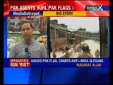 Protesters wave Pakistan, LeT flags in Srinagar