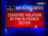 Pakistan Violates Ceasefire Twice in Jammu and Kashmir's Poonch