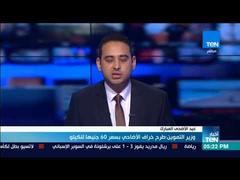 أخبار TeN - وزير اتموين طرح خراف الأضاحي بسعر 60 جنيه للكيلو