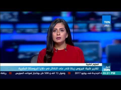 أخبار TeN - تقارير طبية: فيروس زيكا قادر على التكاثر في خلايا البروستاتا البشرية