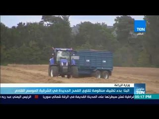 أخبار TeN - البنا: بدء تطبيق منظومة تقاوى القمح الجديدة في الشرقية الموسم القادم