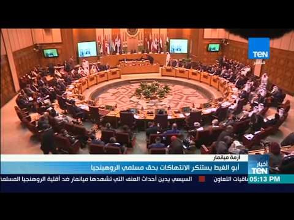 أخبار TeN - أبو الغيط يستنكر الانتهاكات بحق مسلمي الروهينجيا