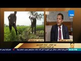 رأى عام - د. سعيد عبد التواب: مصر تتصدر دول العالم في إنتاج القطن فائق الطول