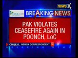 Pakistan fires at Indian troops in Balakot sector