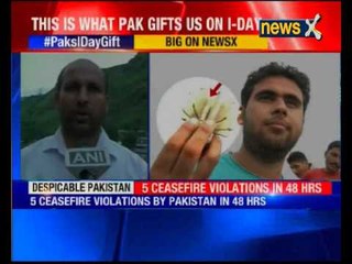 Five ceasefire violations by Pakistan in 48 hours