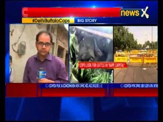 Rape figures surge to record levels and Cops are too busy finding 9 buffaloes