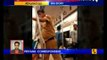 This video of 'drunk' cop on Delhi metro is going viral