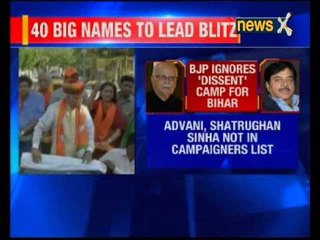 PM Narendra Modi to lead party campaign in Bihar poll