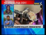 Jammu and Kashmir: 8 civilian injured in Pakistan's unprovoked firing in Ramgarh sector