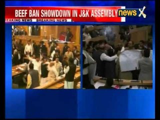 Protests in Jammu and Kashmir Assembly for second day