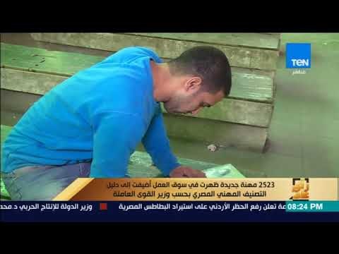 رأى عام - 2523 مهنة جديدة ظهرت في سوق العمل أضيفت إلى دليل التصنيف المهني المصري