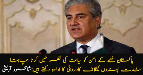 Pakistan cannot put regional peace at stake, FM Qureshi