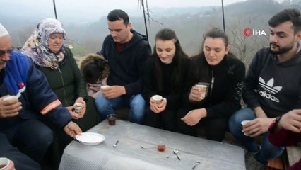 Üzüm asmasına kızdı, ağacın tepesine kamelya yaptı