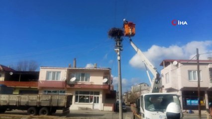 Yuvalar leylekler için hazırlandı