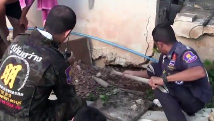 This Massive Python Killed A Cat