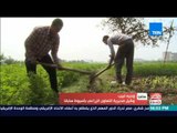 مصر في أسبوع | بلطجية يتهجمون على أرض زراعية في أسيوط ويصيبون مزارعين بطلق ناري