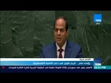 تقرير| رؤساء مصر.. تاريخ طويل في دعم القضية الفلسطينية