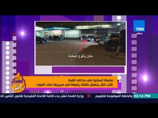 عسل أبيض - مأساة إنسانية في حدائق القبة.. كلب ضال ينهش طفلة رضيعة في سريرها حتى الموت