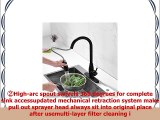 OLEAH Stainless Steel Matte Black Finished Kitchen Sink Faucets with Pull Down Sprayer Hot