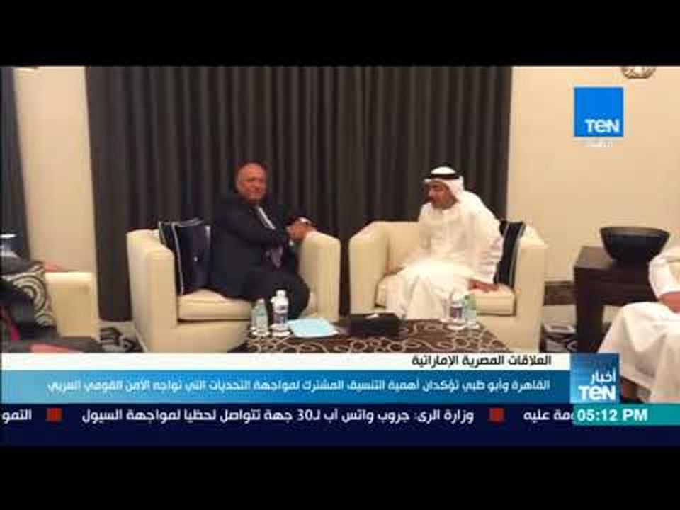 أخبارTeN | القاهرة وأبوظبي تؤكدان أهمية التنسيق المشترك لمواجهة تحديات الأمن القومي العربي