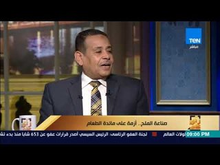 رأي عام - عبداللطيف الكردي: مصر استوردت أملاح بـ10 مليارات دولار في 3 سنوات