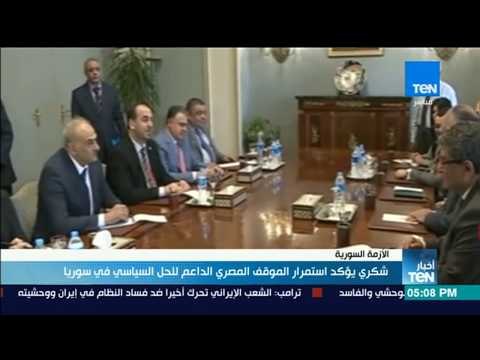 أخبار TeN - شكري يؤكد استمرار الموقف المصري الداعم للحل السياسي في سوريا