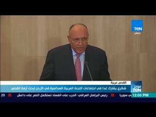 موجز TeN- شكري يشارك غدا في اجتماعات اللجنة العربية السداسية في الأردن لبحث أزمة القدس